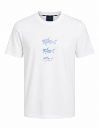 T-Shirt Paul And Shark